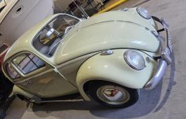 D-99999 VOLKSWAGEN 1/11